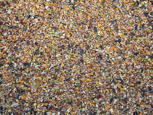 Chicken feed in top view. Grains for poultry. Grain background.