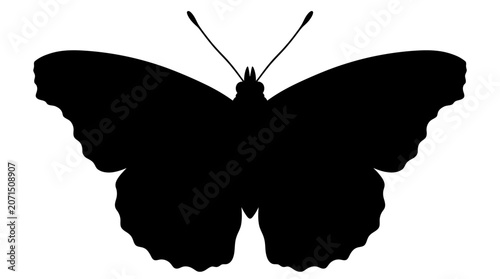 Tableau sur toile Butterfly Silhouette Against A White Background butterfly shape