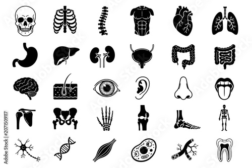Human internal organs and science chemistry icons collection