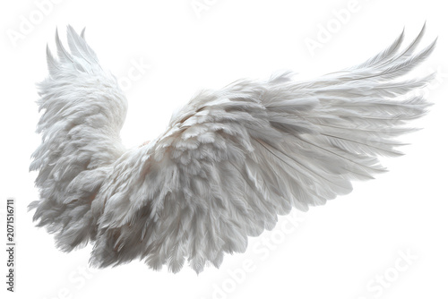 Celestial wings symbols of serenity and grace isolated on transparent background. White feather wings spread wide in elegant flight isolated on white background.