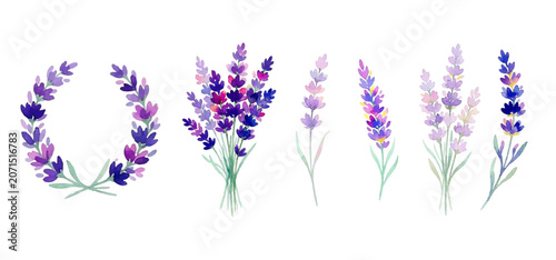 lavender flowers and lavender flowers