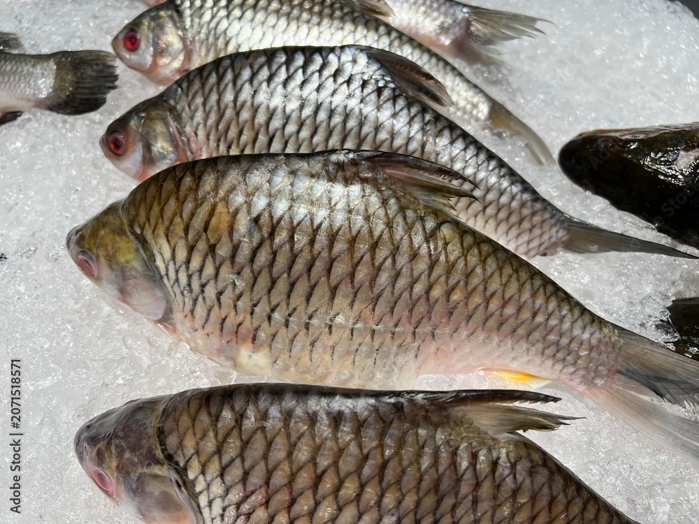 Obraz premium Fresh Freshwater Fish on Ice at Seafood Market