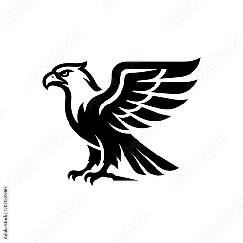 Black eagle bird standing tall proudly.