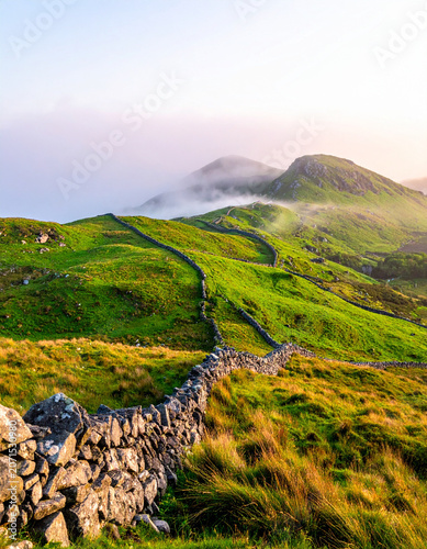 Winding dry stone walls crisscross the bright green rolling hills of Connemara under a soft, misty morning sky.