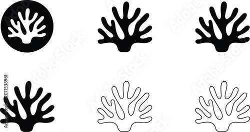 Photography Set of six minimalist coral reef icons for marine biology and ocean conservation