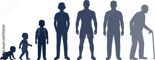 Tableau sur toile Human Life Cycle Vector Silhouette Set Showing Aging Process from Infant Baby Bo