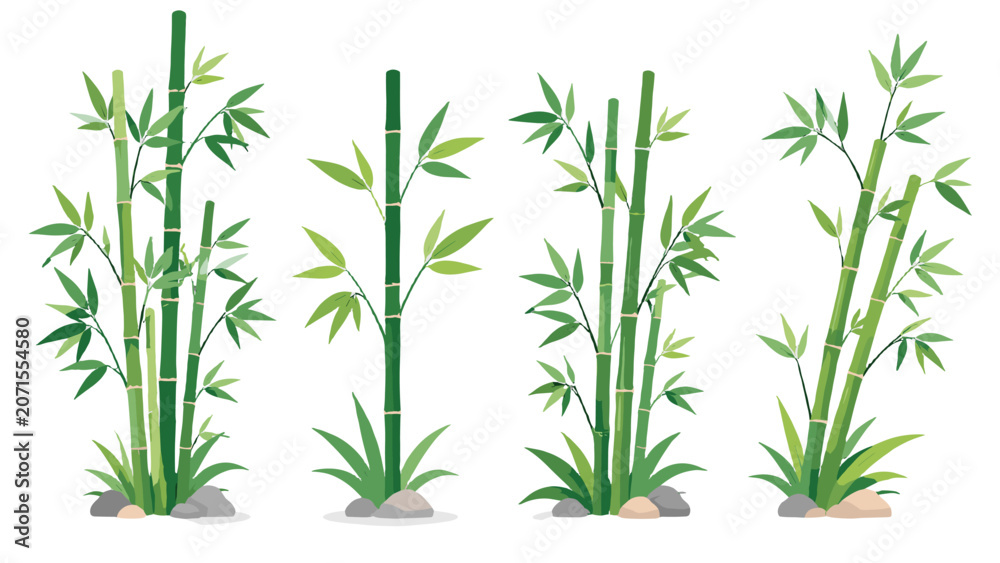Fototapeta premium Green bamboo stems and leafy branches isolated on white