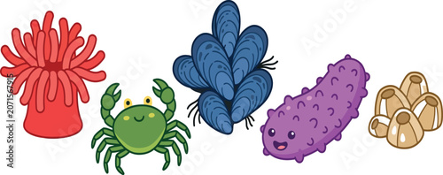 Photography Cute cartoon tide pool marine life animals including crab, mussel, anemone, and sea cucumber set