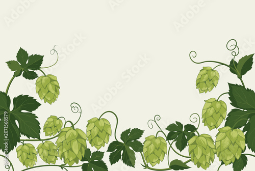 Fresh green beer hops with vines and leaves forming an elegant frame on a soft cream colored background.