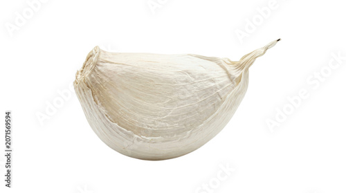 Fresh white garlic bulb with papery skin.