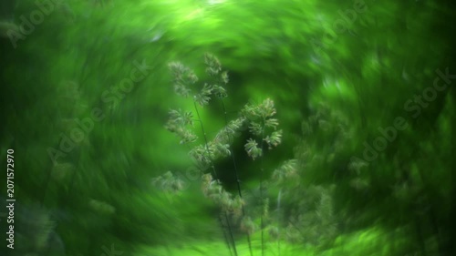 Abstract green forest portal with dreamy bokeh