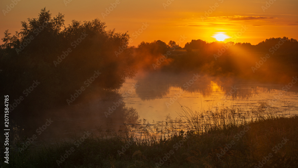 Fototapeta premium A beautiful sunrise over a misty lake with golden light reflecting on the water, surrounded by dark trees and grass