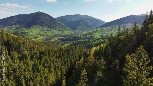 Aerial view green mountain landscape. Rolling hills covered in dense pine forests and trees stretch into the distance. Contrasting shades of green and distant peaks create a serene, picturesque view