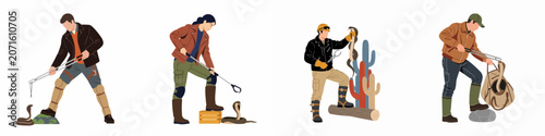 Bild auf Leinwand Professional snake catchers and herpetologists using specialized tools like tongs and hooks to safely capture and handle venomous cobras, vector illustration
