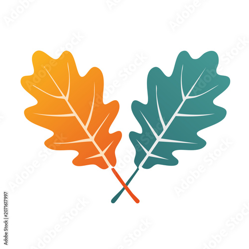 Flat Design Oak Leaves Icon