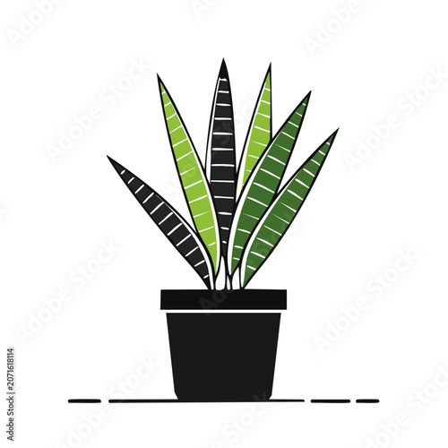 Flat illustration of potted snake plant