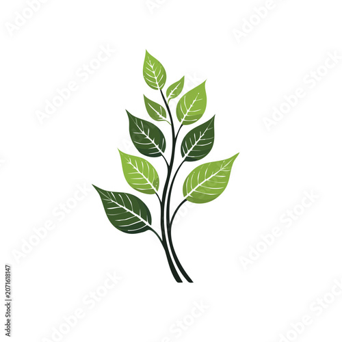Green leaf branch vector illustration