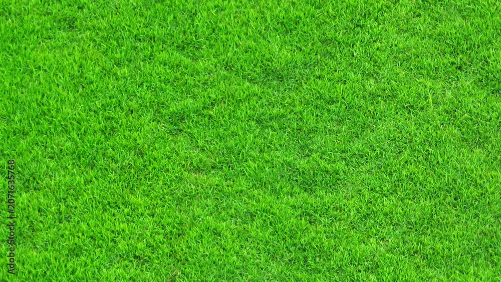 Fototapeta premium Aerial drone view of a lush green lawn, showcasing dense grass texture, healthy turf coverage, and well-maintained landscaping that reflects sustainable lawn care and consistent maintenance practices.