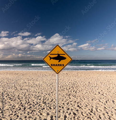 Shark warning sign on a beach. The sky is blue but the are no swimmers in the water.