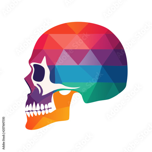Low poly colorful human skull side view vector