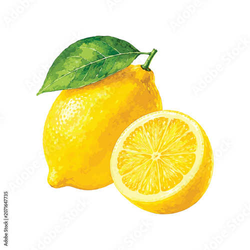 Obraz na plátne Fresh Yellow Lemon Watercolor Illustration