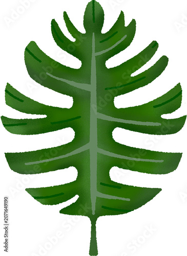 Tropical green split leaf illustration