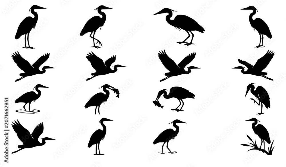 Fototapeta premium Complete Black Silhouette Vector Icon Set of Herons and Egrets Flying Standing Hunting and Perched Isolated on Clean White Background