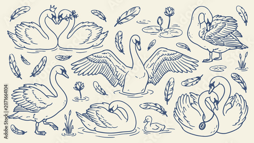 Foto Elegant hand drawn swan illustrations with graceful poses feathers water lilies