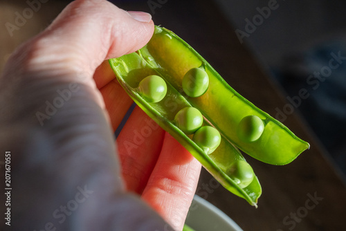 Photography a person's hand holding open a freshly picked, bright green pea pod to reveal the plump peas inside, illuminated by natural sunlight
