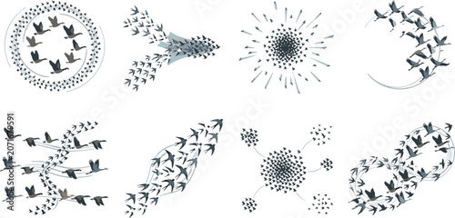 Migrating Birds Flight Formations Vector Icon Set Featuring Swarms and Flocks Creating Circles Infinity Loops and Abstract Abstract Shapes for Nature