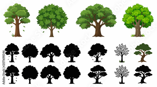Professional vector collection featuring different forest tree designs, tall oak tree, dense maple tree, woodland tree, mature forest tree, broadleaf summer tree, natural wilderness tree