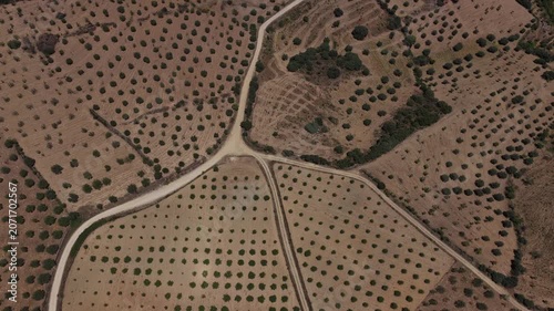 Scenic Aerial Footage of Traditional Greek Olive Tree Cultivation