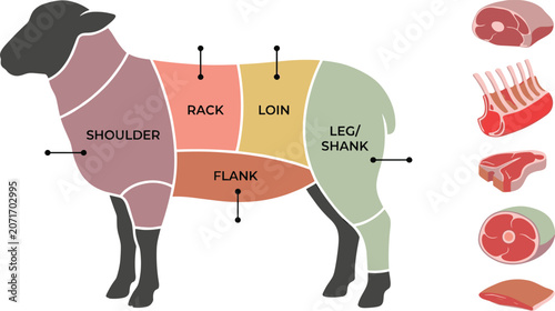 Tableau sur toile Lamb Meat Cuts Diagram with Shoulder Rack Loin Flank and Leg Sections Butcher Gu