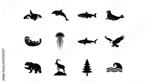 Photography Set of wild animals icons featuring marine creatures and forest life on white background
