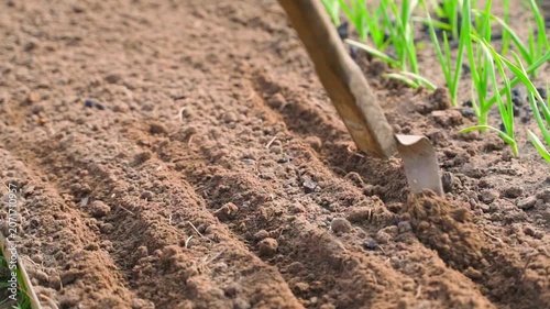 Making rows in soil with hand hoe for sowing seeds close-up in slow motion