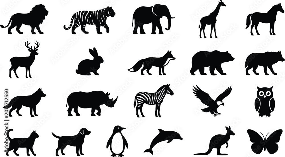 Obraz premium Black and white of various animals including mammals, birds, and reptiles