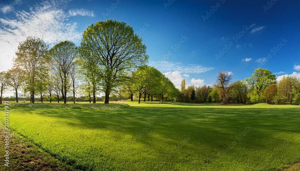 Obraz premium Nature Springtime View With Trimmed Grassy Area And Full Grown Trees Under Textured Blue Sky