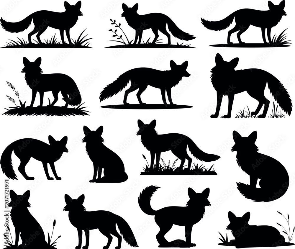 Obraz premium Collection of wild fox silhouettes showing various poses standing sitting and lying isolated on white background