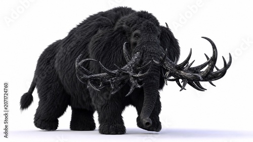 Wooly coloured elephant with branched ivory tusks