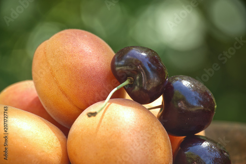 Close-up of ripe apricots and dark cherries piled together with a soft green bokeh background