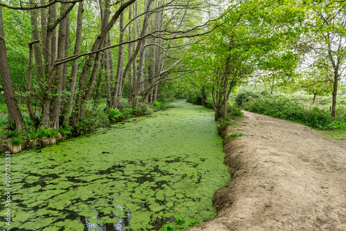 Tableau sur toile A canal that runs from Groombridge Place  to the River Grom