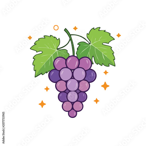 Purple grape cluster with green leaves vector illustration