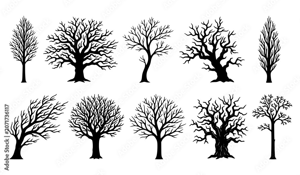 Obraz premium Bare winter tree collection black silhouette botanical vector illustration set