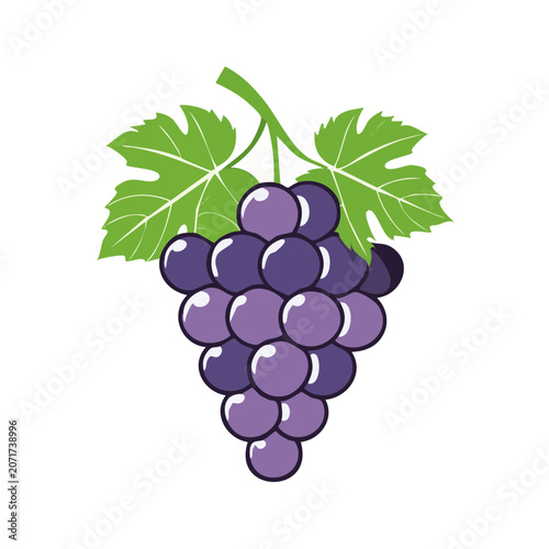 Purple Grape Cluster with Green Leaves Vector Illustration