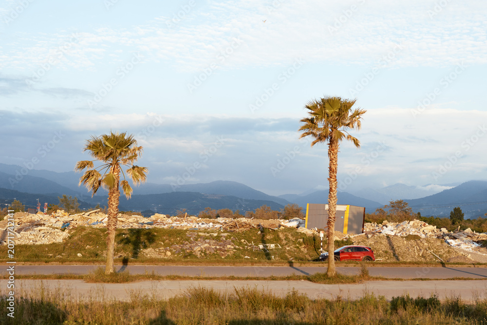 Fototapeta premium Desert landscape with two palm trees beside a road, distant mountains, and a red car. Sunny scene conveying travel, outdoor exploration, and nature