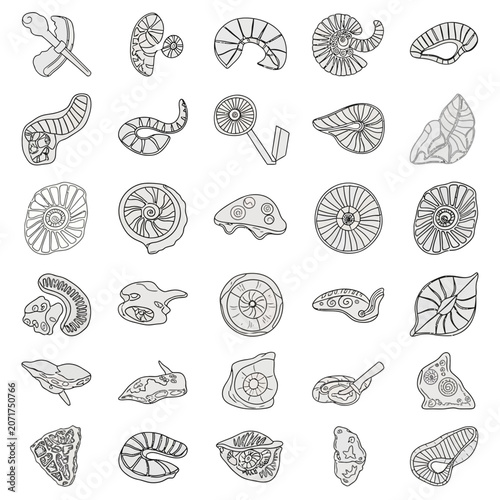 Картината върху платно Fossil Ammonite Shells and Leaves Illustration.