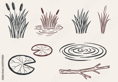 Various wetland elements including black and brown cattails, lily pads, water ripples, and a branch in a distressed sketch style