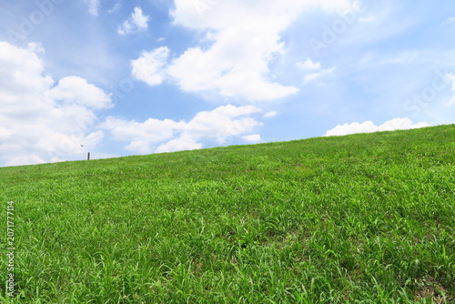 初夏の梅雨の晴れ間の江戸川土手風景
