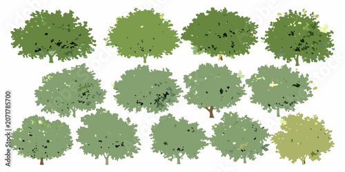 Canvas Print Collection Of Watercolor Trees On White Background Various Shapes And Foliage tr