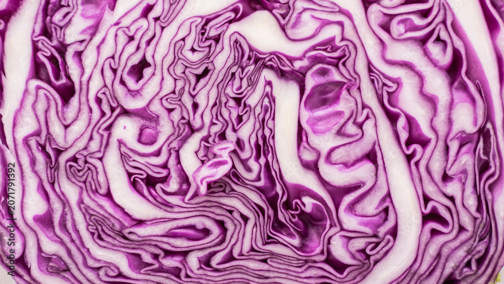 Obraz premium Full-screen image of a sliced section of purple cabbage. texture of sliced section of red cabbage